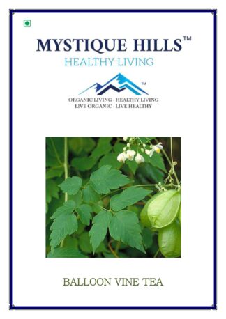Balloon vine Cardiospermum halicacabum