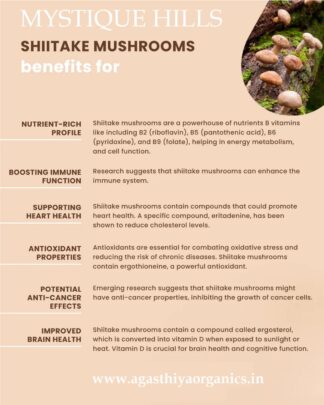 Shiitake Mushroom uses