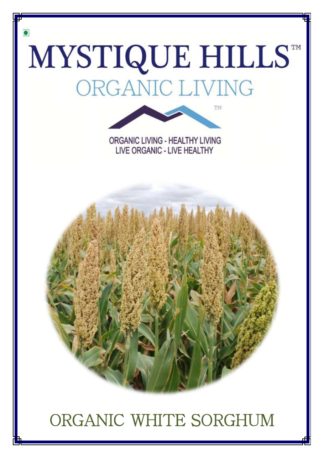 Mystique White Sorghum 1 Kg Sorghum bicolor uses and benefits