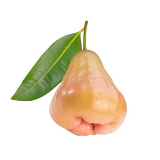 Water Apple uses and benefits