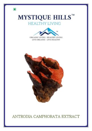 Antrodia Camphorata Extract