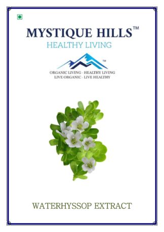 Bacopa monnieri