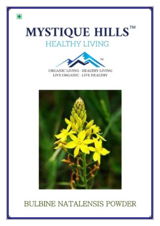 Bulbine natalensis
