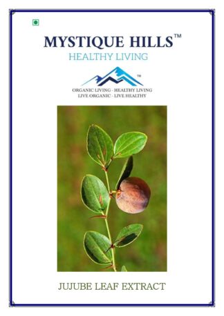 Jujube leaf extract
