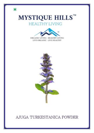 ajuga turkestanica