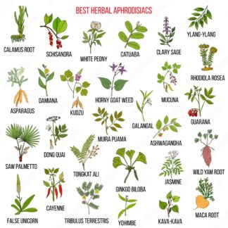APHRODISIAC