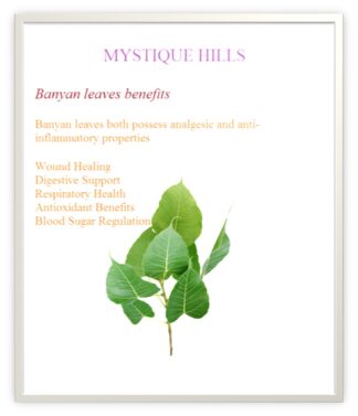 Banyan Leaves uses