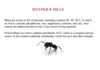 Black Ant Extract uses and benefits