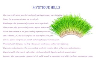Oat-grass-uses-and-benefits