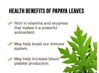 Papaya leaves uses