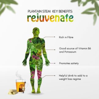 plantain Stem uses and benefits