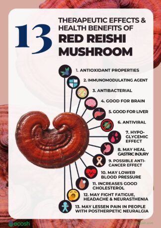 Reishi Mushroom Powder uses