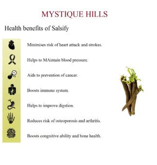 Salsify uses and benefits