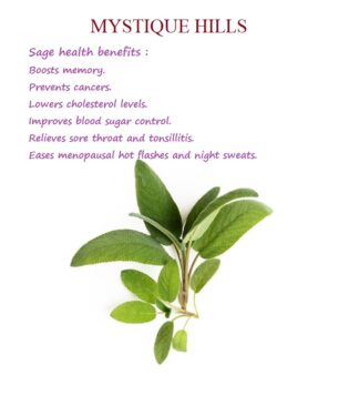 Sage health benefits : Boosts memory. Prevents cancers. Lowers cholesterol levels. Improves blood sugar control. Relieves sore throat and tonsillitis. Eases menopausal hot flashes and night sweats.