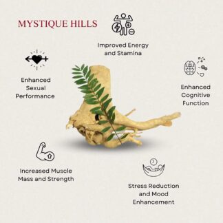 Tongkat-ali-uses-and-benefits
