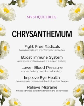 chrysanthemum flower uses and benefits