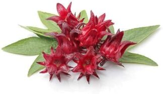 Scientific name: Hibiscus sabdariffa United States: Florida cranberry, Jamaica sorrel Spanish-speaking regions: Saril, flor de Jamaica English-speaking Caribbean: Sorrel French West Indies: Groseille-pays, Gwozey-péi Brazil: Vinagreira, caruru-azedo Africa: Bissap, wonjo, foléré, dabileni, tsobo, zobo, siiloo, or soborodo Egypt: Karkade Other common names: Indian Sorrel, Red Sorrell, Rosella, Karkadi, Lemon bush, Natal roselle, Queensland jelly plant, Roselle hemp, Sour-sour, Zobo Indian Subcontinent: Mesta, Laal ambari, Patva, Gonguru, Seemi pundi, Pulichakeere
