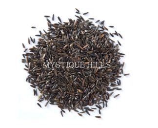 Ramtil, Guizotia abyssinica, blackseed,Guizotia abyssinica,Nyger,Nyje,ኑግ, ኒህዩግ,noog,nug,ramtilla,Jagni,Uhechellu ,Payellu ,Verrinuvvulu,Niger seed, Ramtil, Nyjer seed, Blackseed,Ramtil, Jagni, Kalatil, Surguja,Huchchellu, Ramtil, Gurellu, Payellu, Uchellu, Kattel,Valesulu, Vulisi, Adavinvvulu
