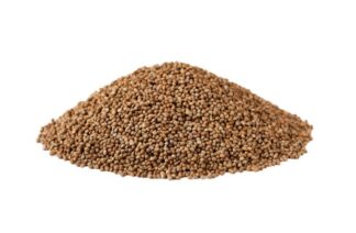 perilla seeds