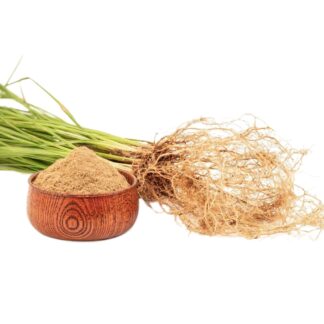 Khus, Khus-khus, Ushira, Ramacham,Sugandhimula,Chiendent des Indes, Chiendent Odorant, Gras Vetiver, Herbe Vetiver, Vetivert,Ya Faek, Xiang Gen Chao,Zacate Violeta, Pasto Violeta, Capim Vetiver, Capim de Cheiro