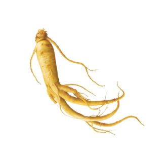 Eleutherococcus senticosus,leuthero, taiga root, devil's bush, thorny ginseng