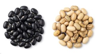 Mucuna Pruriens Seeds uses and benefits