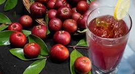 Kokum juice syrup, Mystique Kokum juice, Garcinia Indica syrup 500 ml Kokum juice syrup, Mystique Kokum juice, Garcinia Indica syrup 500 ml