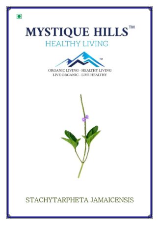 Stachytarpheta jamaicensis, or blue porterweed, has been traditionally used for various medicinal purposes, including digestive issues, respiratory ailments, and as an antiseptic for cuts and wounds. It also exhibits potential antimicrobial, anti-inflammatory, antidiabetic, and wound-healing properties supported by experimental studies. In addition, the plant is used as a "cooling tonic" or blood cleanser, can regulate hormones, and is used in traditional medicine for postpartum recovery and to increase milk supply. It is important to note that pregnant women should avoid consuming the plant.