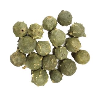 gouty galls, horned galls, knopper galls, Maasikkai, Machi kai, Majuphal Powder, MANJAKANI, marble galls, Masikkai, oak apples, Oak Gall, Quercus infectoria, spangle galls, மணிக்கட்டு, மாயாபால்