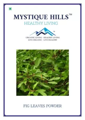 Mystique Fig leaves powder 100 g