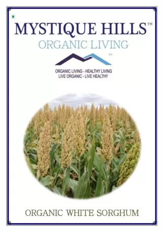 Sorghum bicolor uses and benefits
