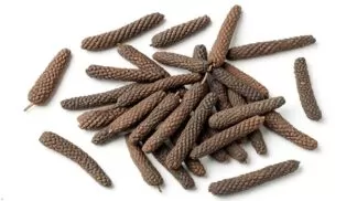 Piper longum uses and benefits