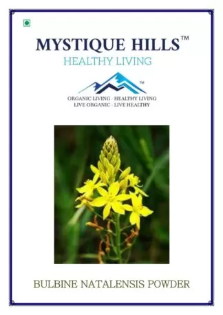 Bulbine natalensis