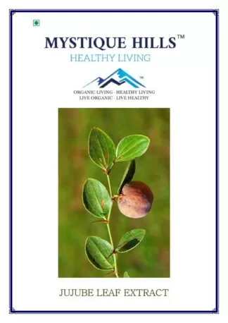 Jujube leaf extract