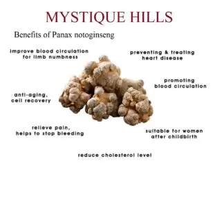 Panax Notoginseng uses and benefits