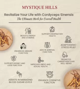 cordyceps sinensis uses and benefits