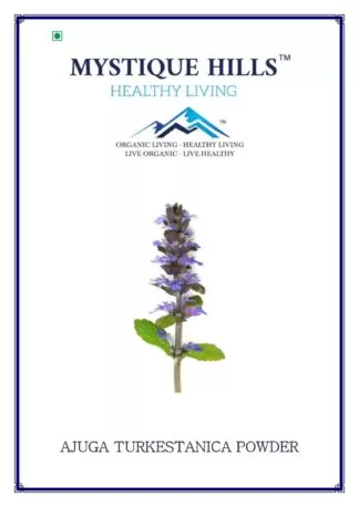 ajuga turkestanica