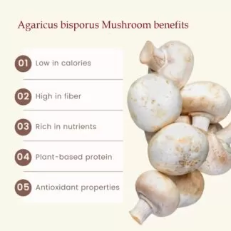 Agaricus bisporus benefits