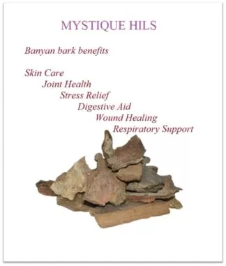 Banyan Bark uses and benefits