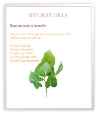 Banyan Leaves uses