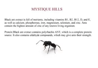 Black Ant Extract uses and benefits