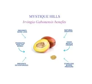 Irvingia Gabonensis Seed uses and benefits