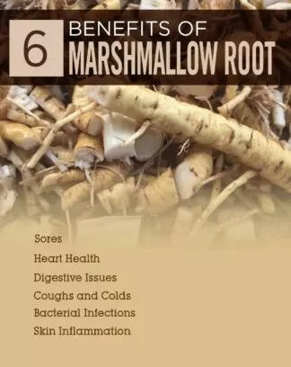 Marshmallow uses and benefits