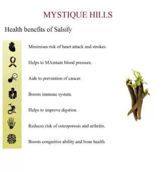 Salsify uses and benefits