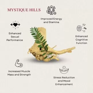 Tongkat-ali-uses-and-benefits