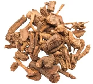 Jamaican sarsaparilla