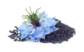 Kalonji Powder