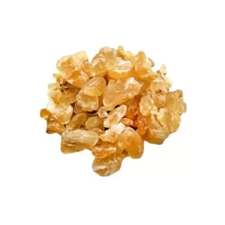 Prunus dulcis