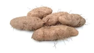 Scientific name: Dioscorea esculenta