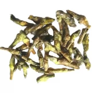 Brilliant Gardenia, Gummy gardenia, White emetic nut,Dikamali,Cumbi Gum,Gardenia resinifera,Brilliant Gardenia, Gummy Gardenia, White Emetic Nut, Cambi Resin Tree, Dikamali,Pannipavatta, Kambimaram, Picinpatti, Picinpavattai, Kambilipicin,Yerrabikki, Erubikki, Karinga, Chinna karinga, Verri bikki,Dikamali kayam, Dekamali, Dikmali ; Pannipavatta, Kambi maram, Picinpatti, Picinpavattai, Kambilipicin, Yerrabikki, Erubikki,Nadi Hingu, Hingunadika, Pindava,Bhikamali, Gandharaj, Gummy Gardenia, Cambi Gum Tree,Kamarri, Dikamali,Dikamali, Narihingu, Ban Anjir, Bhurro, Barabhutra,Nadi Hingu, Gandharaj, Hingunadika, Pindava,Karinga, Chinna karinga, Verri bikki tree